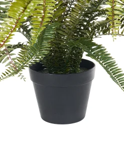 Kunstig plante FERN LEAF PLANT 105 cm Grøn