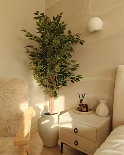 Kunstig plante FICUS 167 cm Grøn