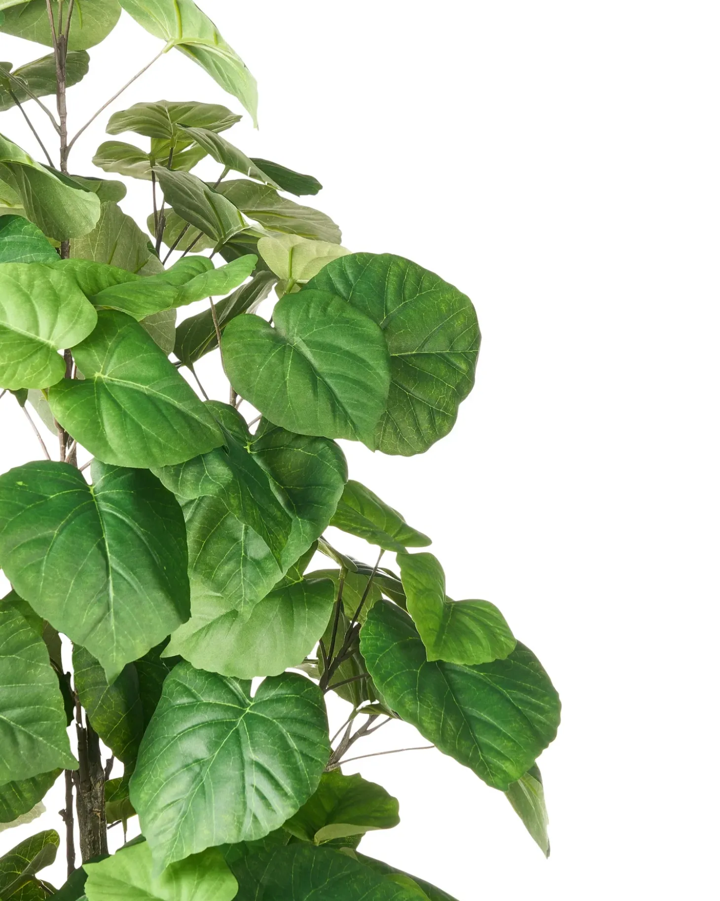 Kunstig plante FICUS TREE 160 cm Grøn