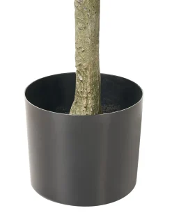 Kunstig plante FICUS TREE 160 cm Grøn