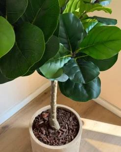 Kunstig plante FIG TREE 162 cm Grøn