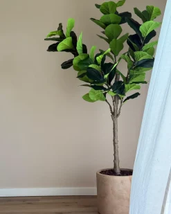 Kunstig plante FIG TREE 162 cm Grøn