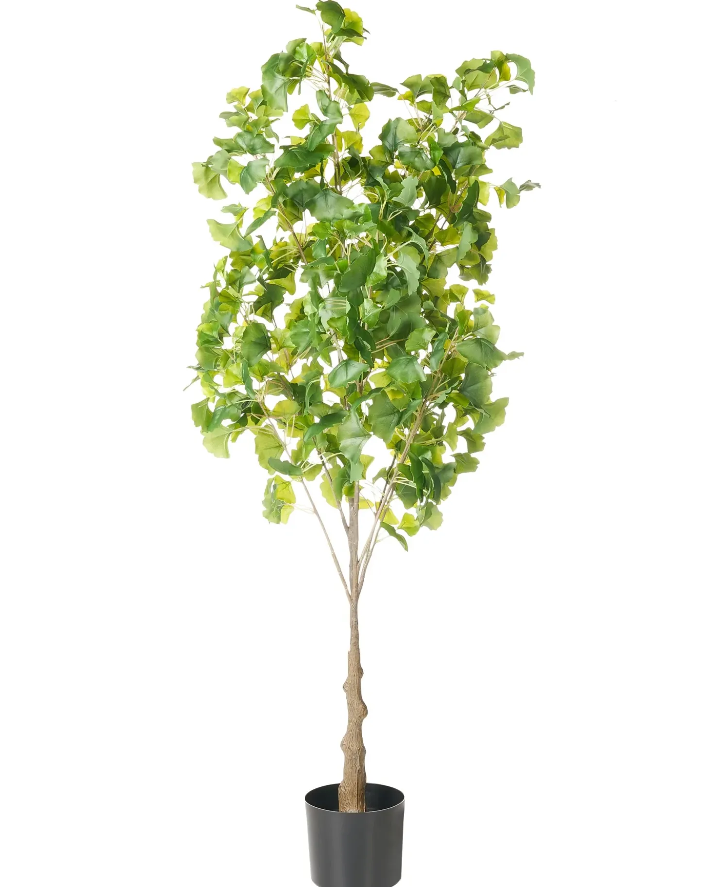 Kunstig plante GINKGO TREE 150 cm Grøn
