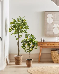 Kunstig plante LEMON TREE 156 cm Grøn