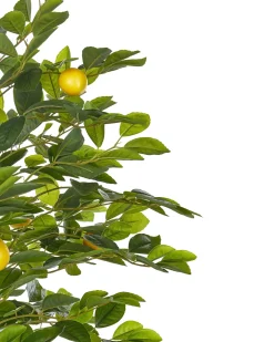 Kunstig plante LEMON TREE 156 cm Grøn