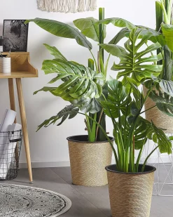 Kunstig plante MONSTERA PLANT 113 cm Grøn