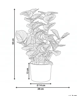Kunstig plante ORBIFOLIA 50 cm Grøn