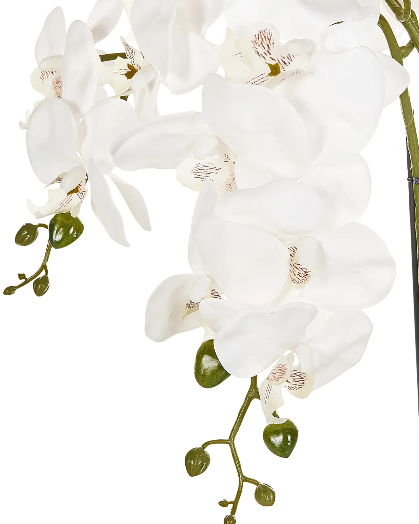 Kunstig plante ORCHID 59 cm Hvid