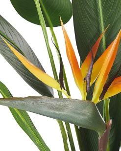 Kunstig plante STRELITZIA TREE 115 cm Grøn