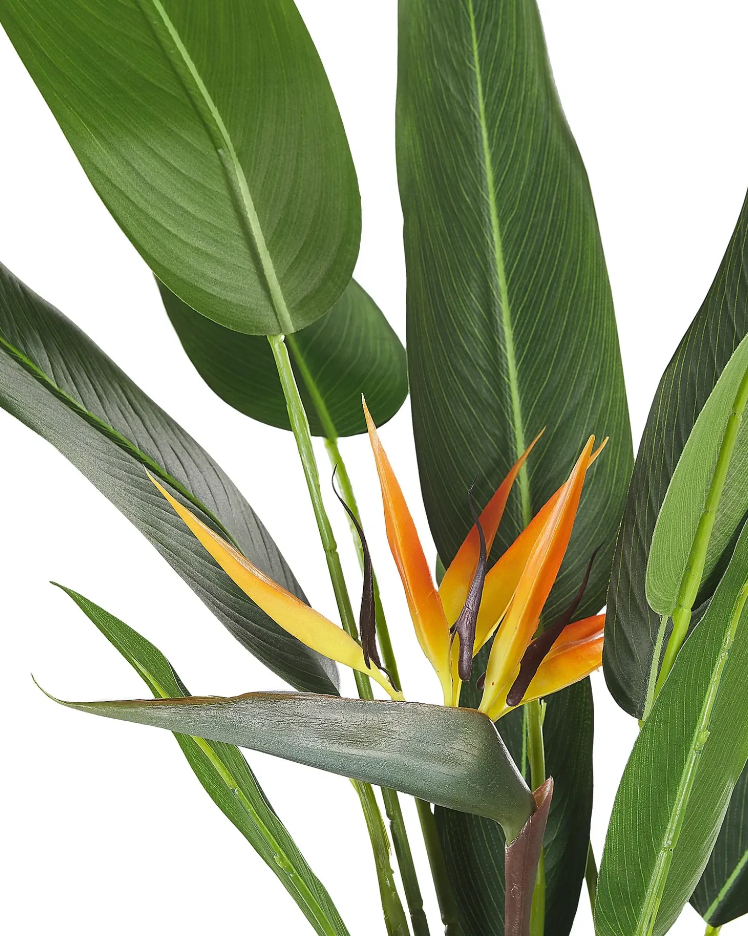 Kunstig plante STRELITZIA TREE 115 cm Grøn