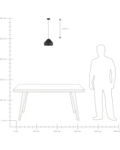 Loftlampe EVINOS Metal Sort