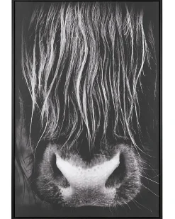 Lærred GALEATA Dyre motiv 63 x 99 cm Sort