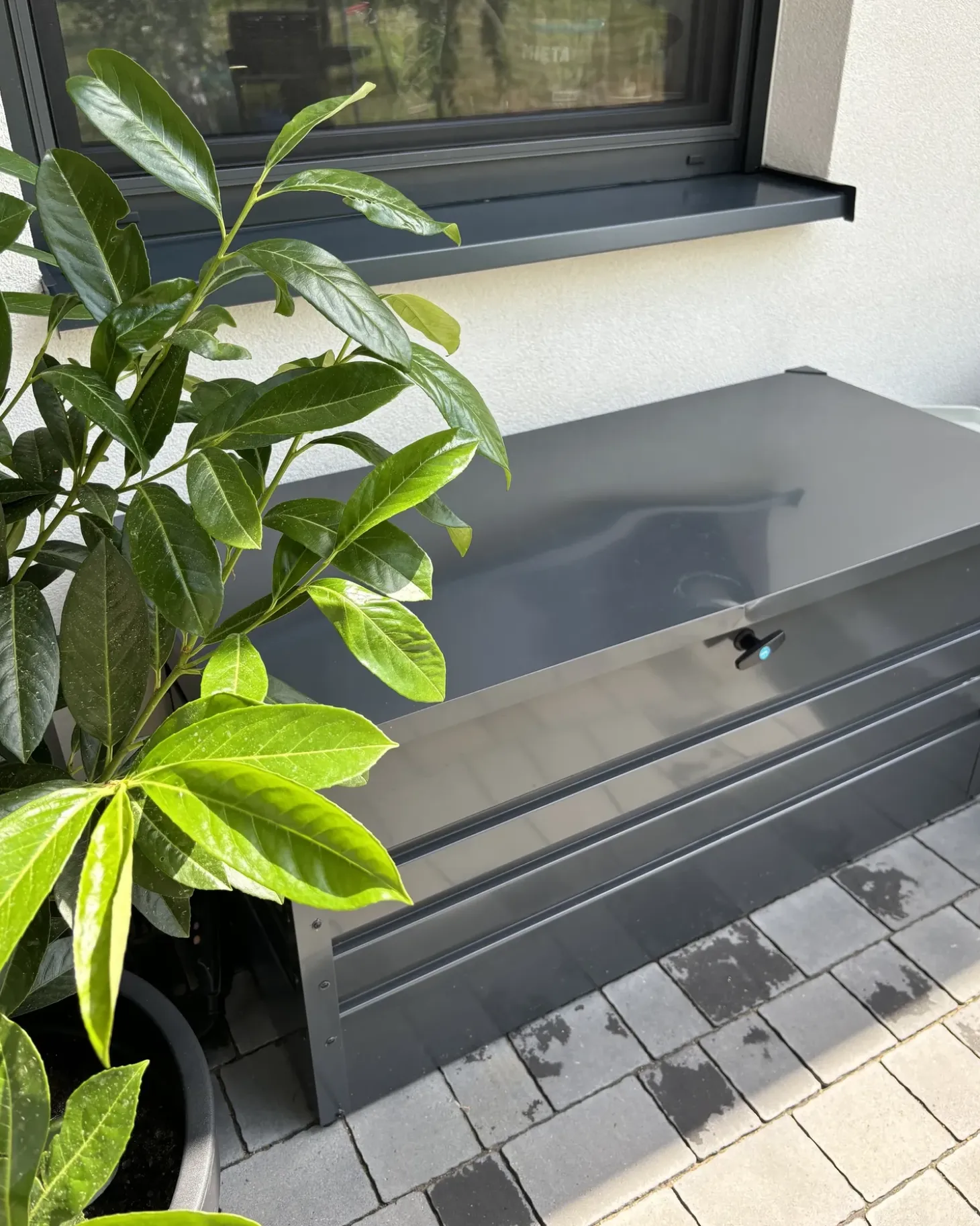 Opbevaringsboks CEBROSA 132 cm 62 cm Grafit