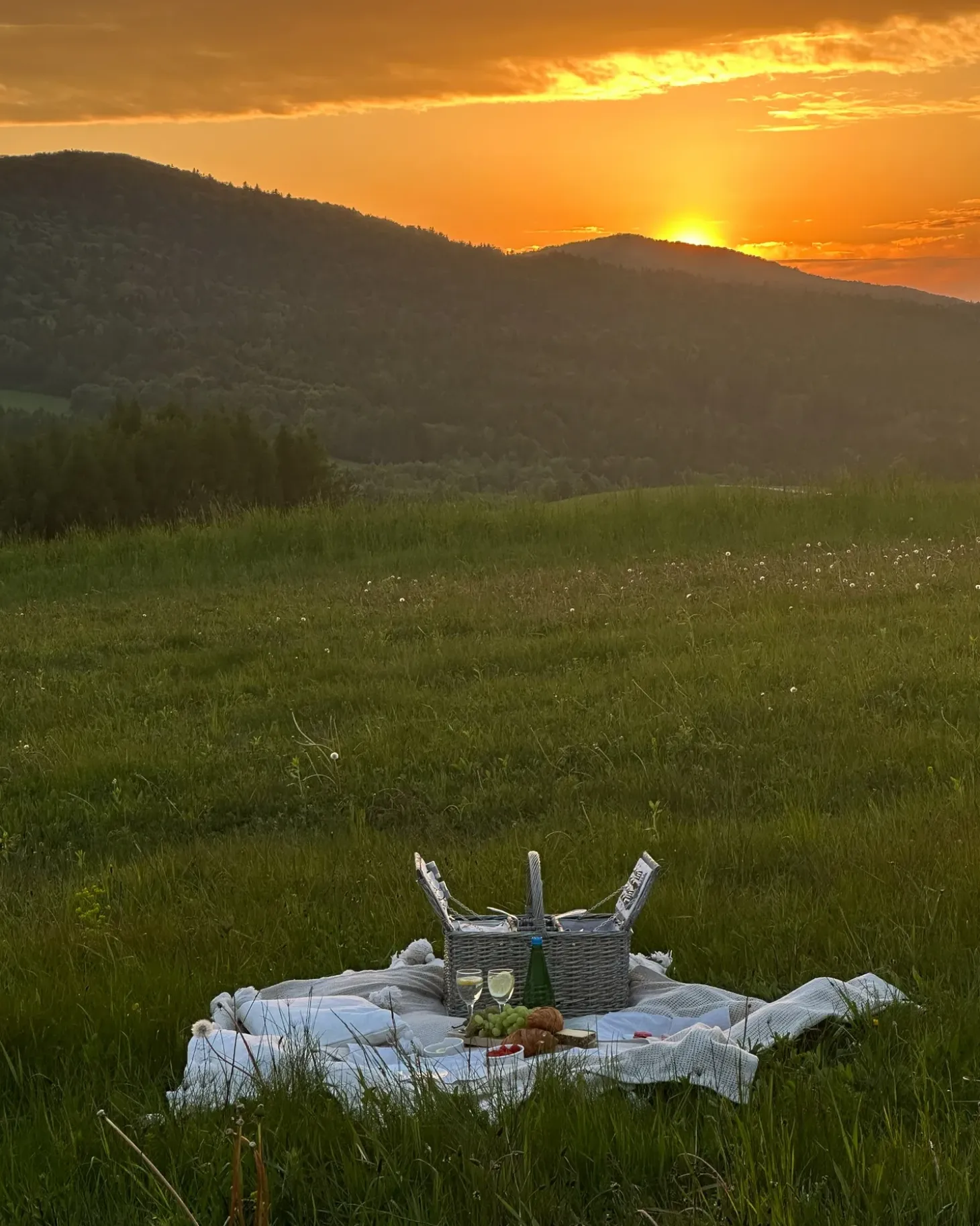 Picnic-kurv GROSEILLE Flet Grå