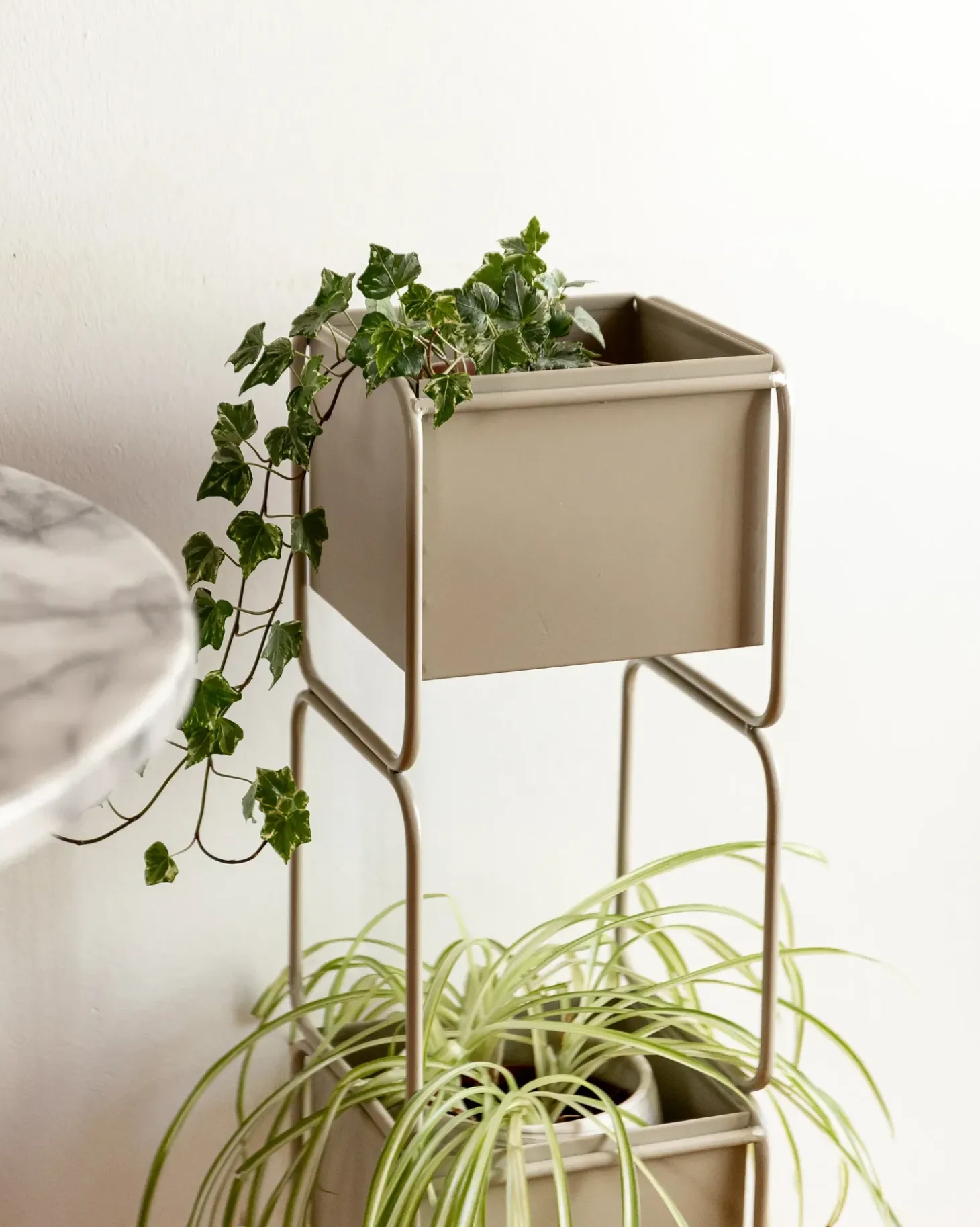 Plantestativ COTINUS Metal 20 cm Beige