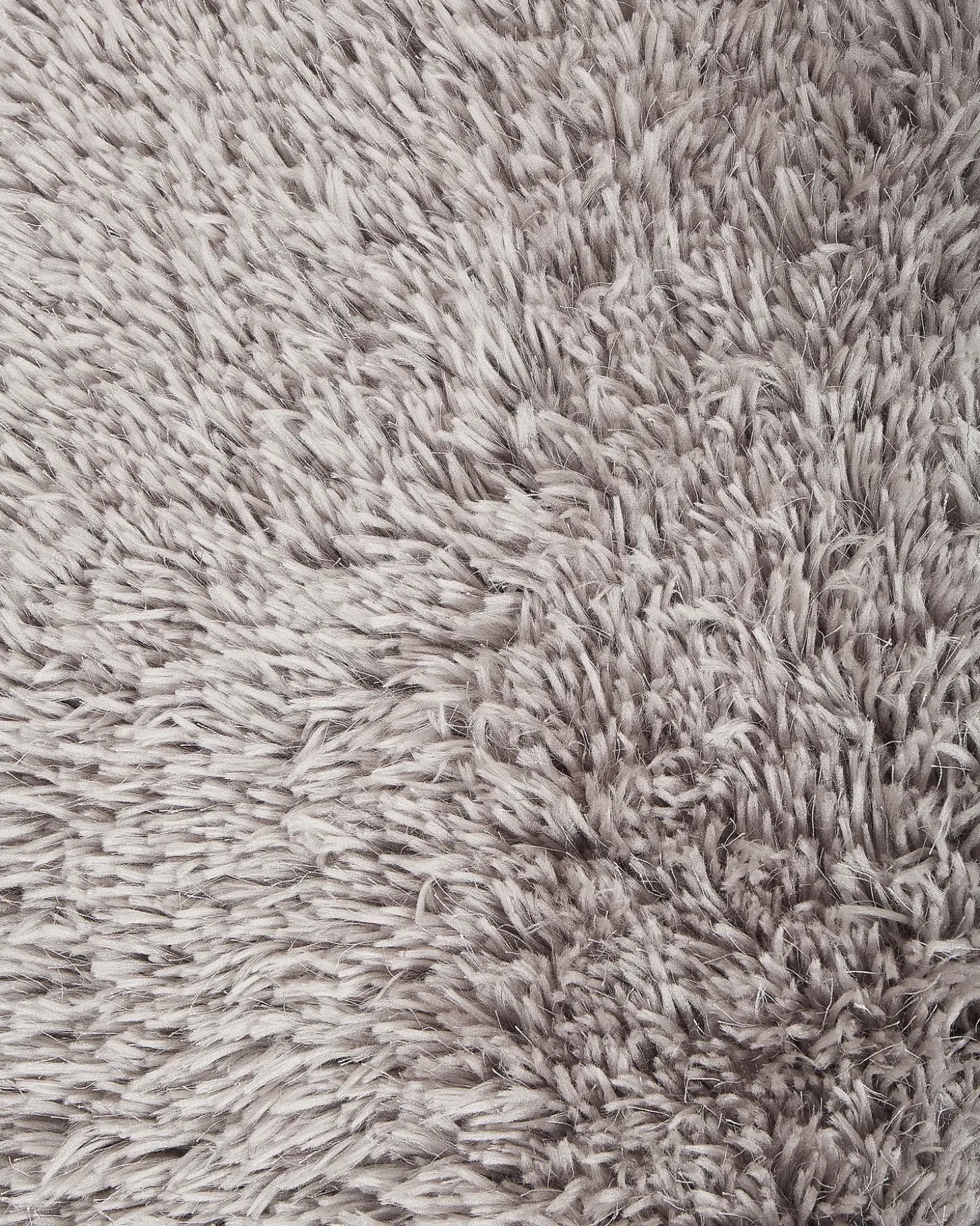 Shaggy gulvtæppe CIDE Lysegrå 200 x 300 cm