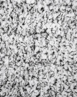 Shaggy gulvtæppe DEMRE Grå 200 x 300 cm