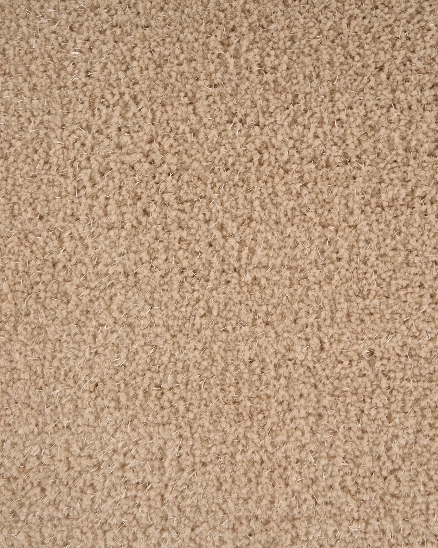 Shaggy gulvtæppe DEMRE Sand Beige 160 x 230 cm