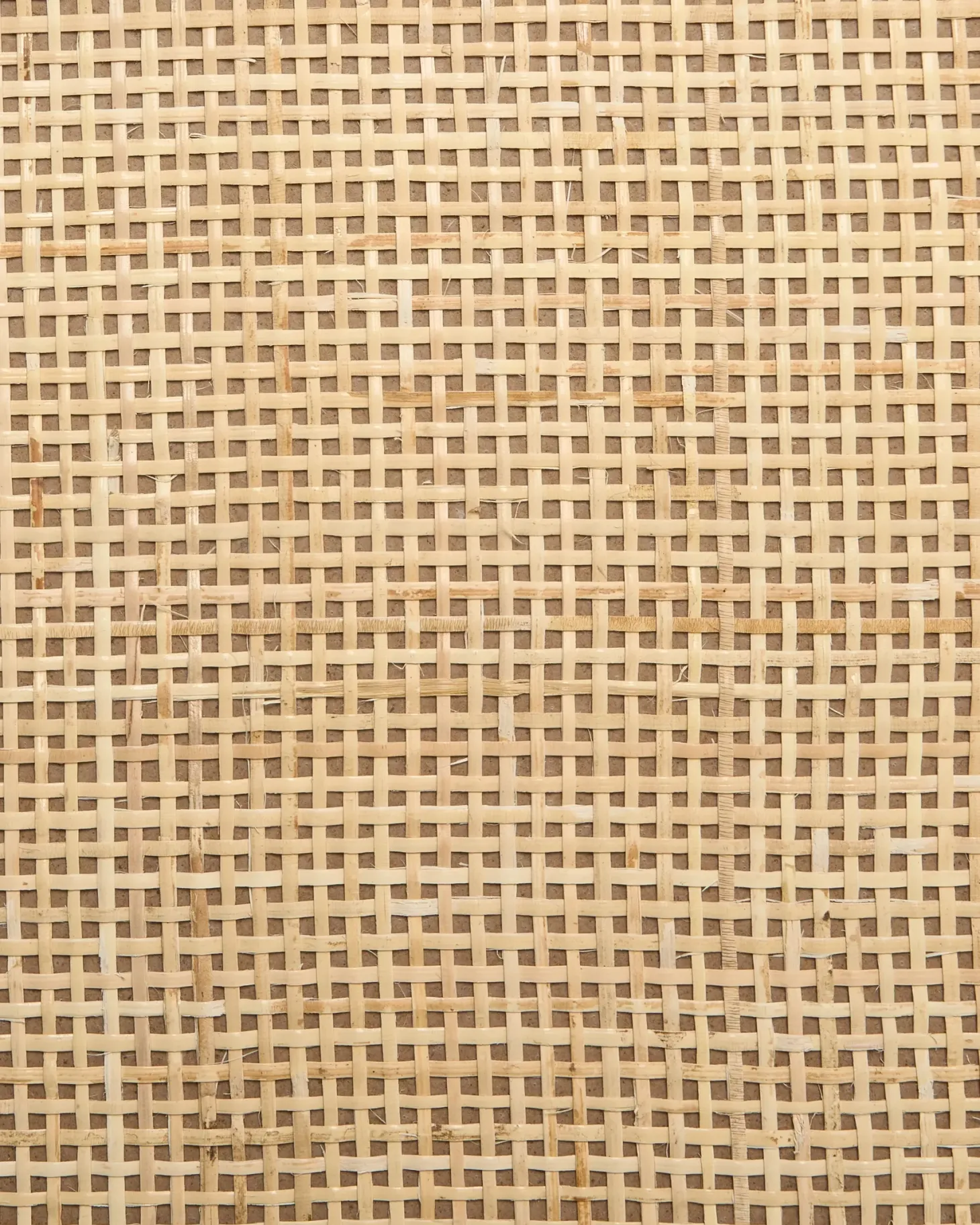 Skoskab BICHENO Sort