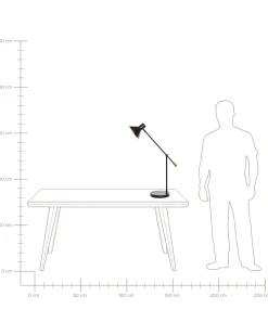 Skrivebordslampe PINKEEN Metal Sort