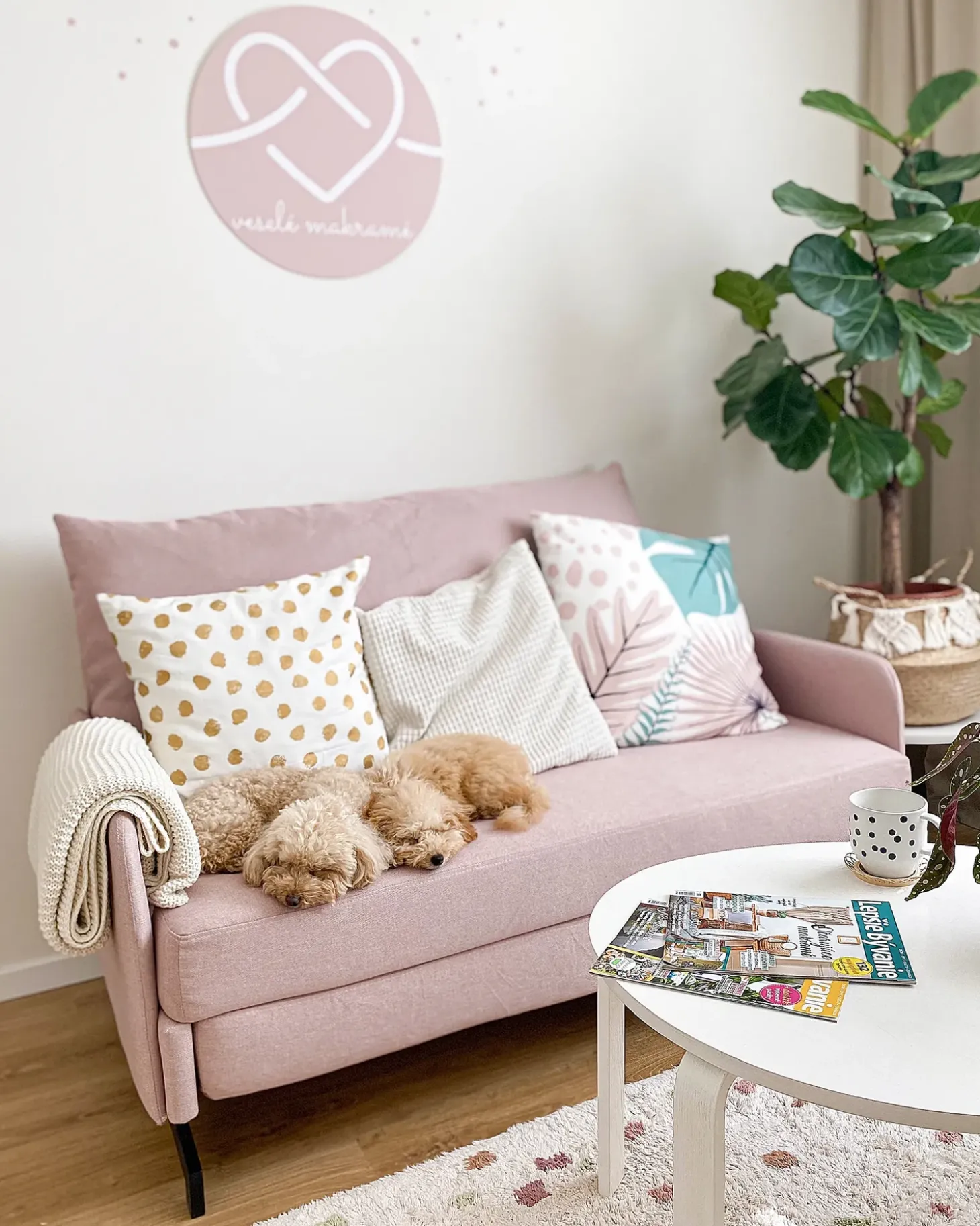 Sovesofa 2 personers BELFAST Lyserød