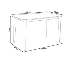 Spisebord MODESTO Grå 120 cm 80 cm Træ