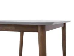 Spisebord MODESTO Grå 120 cm 80 cm Træ