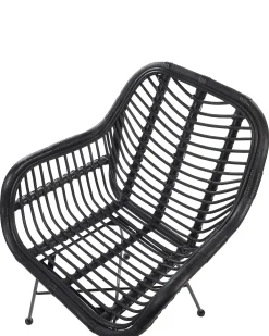 Spisebordsstol CANORA Rattan Sort