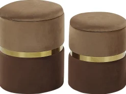 Sæt af 2 opbevaringspuffer WICHITA Velour Brun