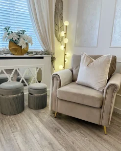 Sæt af 2 opbevaringspuffer CAMDENTON Velour Lysegrå