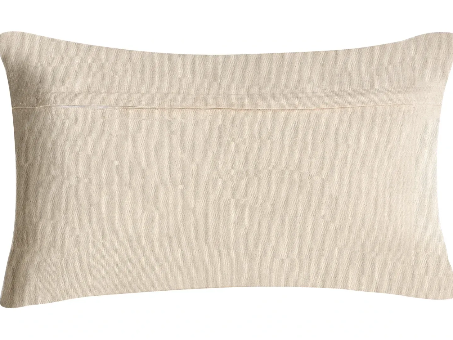 Sæt af 2 pyntepuder ANISOPTERA Bomuld 30 x 50 cm 45 x 45 cm Grøn Ensfarvet