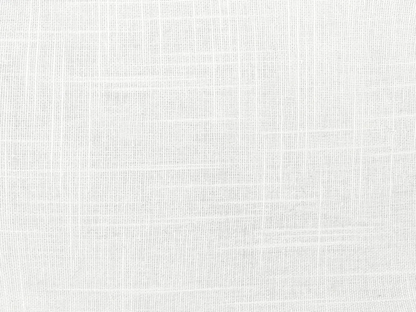 Sæt af 2 pyntepuder BANORI Hør 30 x 50 cm Hvid Ensfarvet