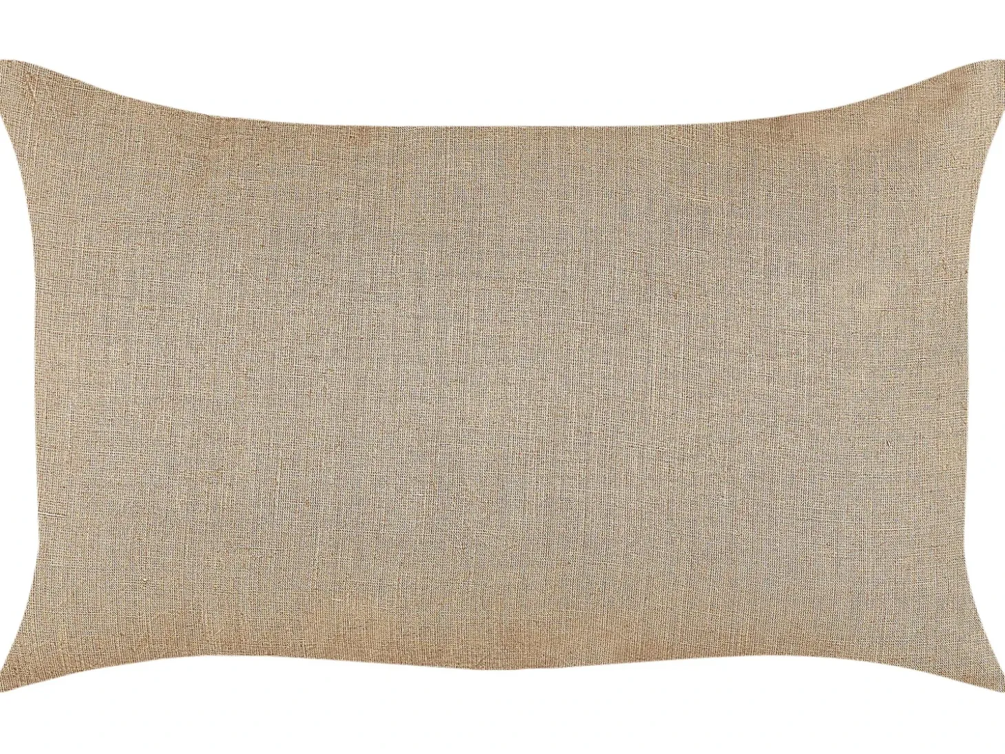Sæt af 2 pyntepuder BANORI Hør 30 x 50 cm Beige Ensfarvet