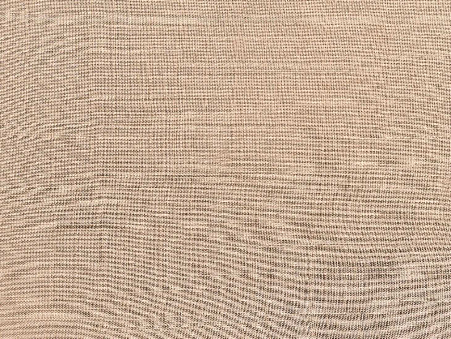 Sæt af 2 pyntepuder BANORI Hør 30 x 50 cm Beige Ensfarvet