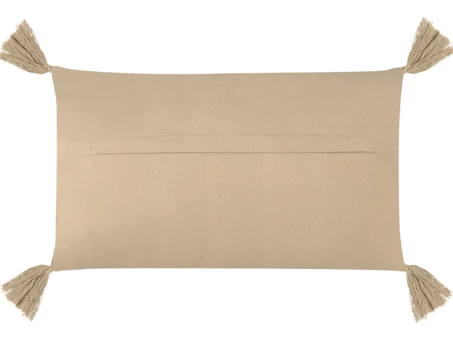 Sæt af 2 pyntepuder CAESIA Bomuld 30 x 50 cm Beige Ensfarvet
