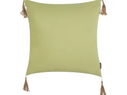 Sæt af 2 pyntepuder CHMISTAR 45 x 45 cm Grøn Ensfarvet