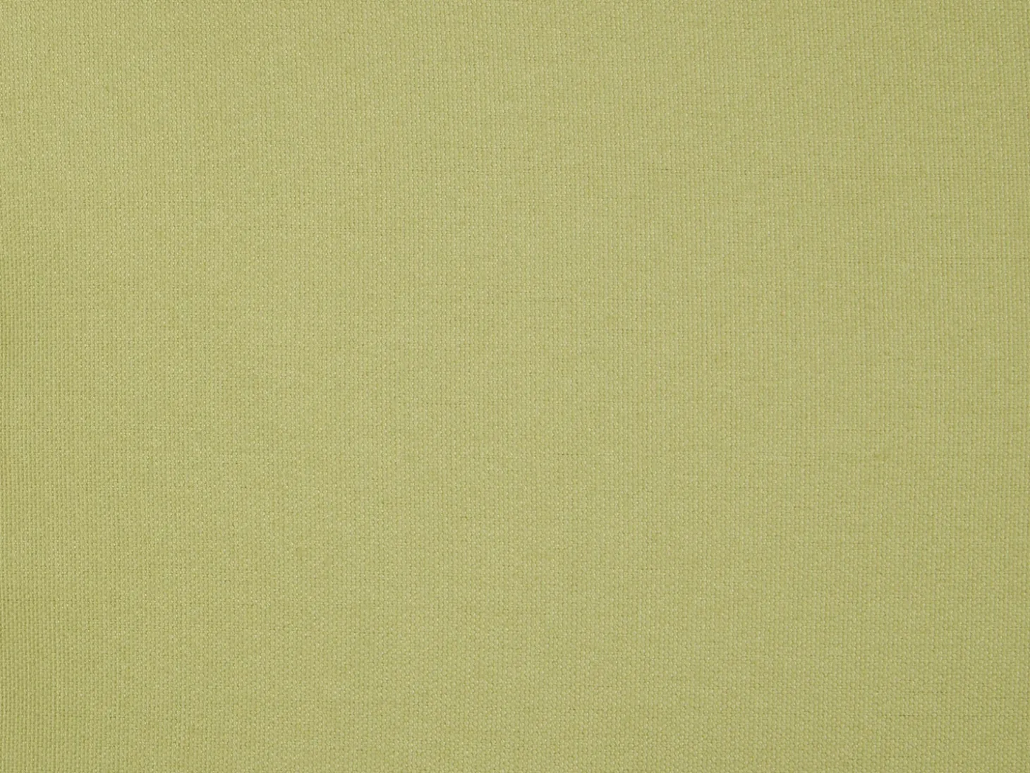Sæt af 2 pyntepuder CHMISTAR 45 x 45 cm Grøn Ensfarvet