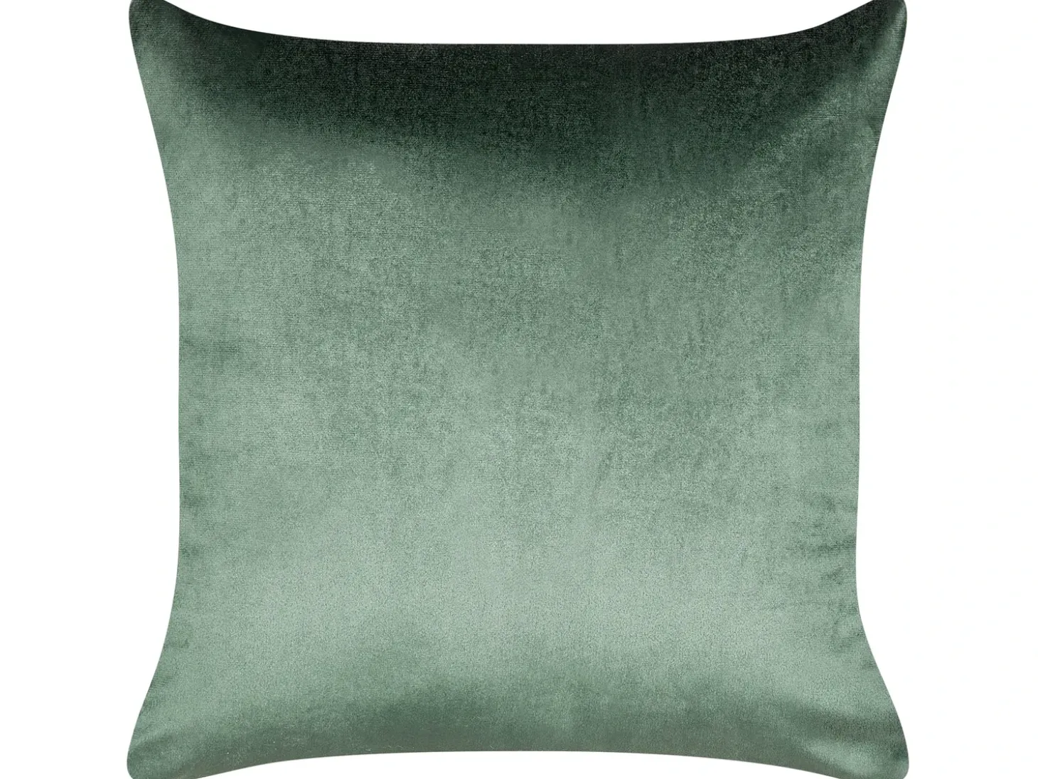Sæt af 2 pyntepuder ECLIPTA 45 x 45 cm Grøn Ensfarvet