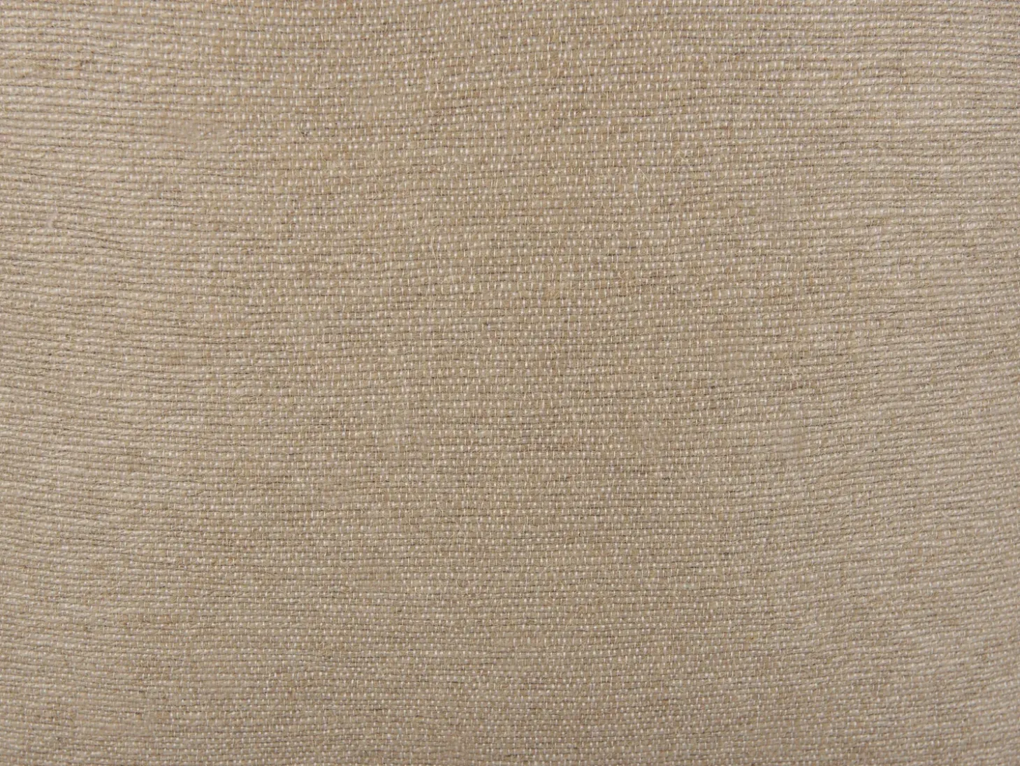 Sæt af 2 pyntepuder ERIGERON Jute 45 x 45 cm Beige Ensfarvet