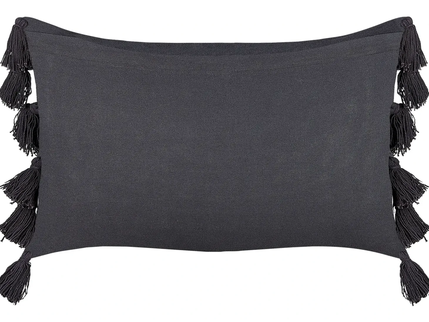 Sæt af 2 pyntepuder LYTHRUM Bomuld 45 x 45 cm Mørkegrå Ensfarvet