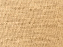 Sæt af 2 pyntepuder OLEARIA Bomuld 45 x 45 cm Sand Beige Ensfarvet