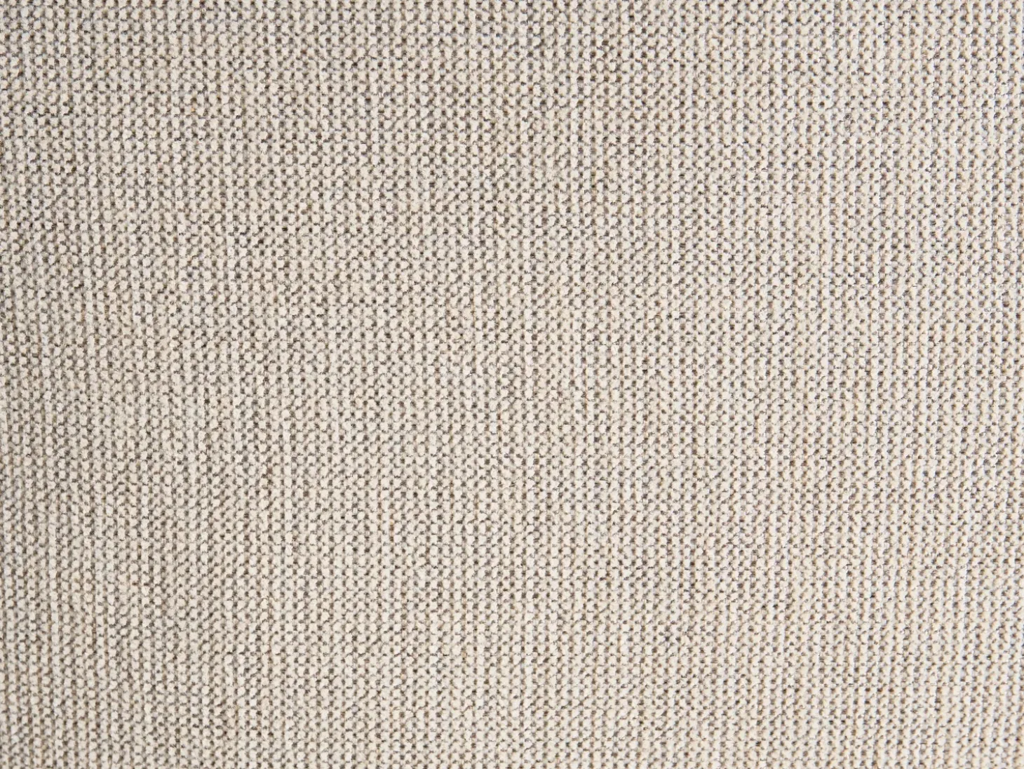 Sæt med 3 dekorative puder MYRISTICA Bomuld 30 x 50 cm 45 x 45 cm Beige Blomstermønster