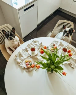 Sæt med 4 kopper med underkopper ELDERBERRY Porcelæn Hvid