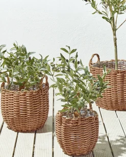 Sæt af 3 flet kurve til planter AUCUBA 26/34/44 cm Lysebrun