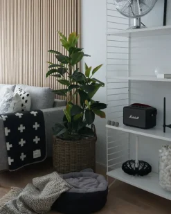 Sæt af 2 flet kurve til planter BITOLA 40/48 cm Brun PE-rattan