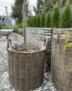 Sæt af 2 flet kurve til planter BITOLA 40/48 cm Brun PE-rattan
