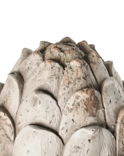 Sæt af 2 havestatuer CORRINALDO Fyrretræskogle Beige