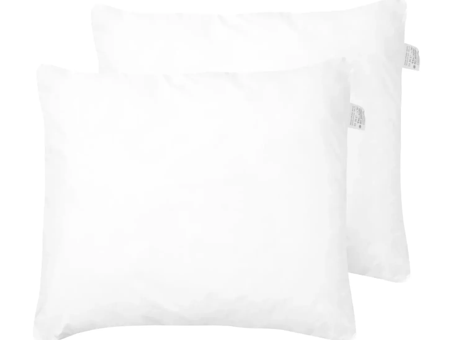 Sæt af 2 hovedpuder ERRIGAL Høj Microfiber 80 x 80 cm Hvid