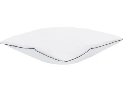 Sæt af 2 hovedpuder PELISTER Lav Microfiber 80 x 80 cm Hvid