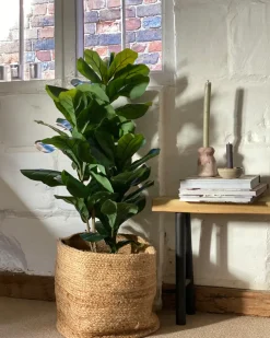 Sæt af 2 kurve KAELLA Jute Sand Beige